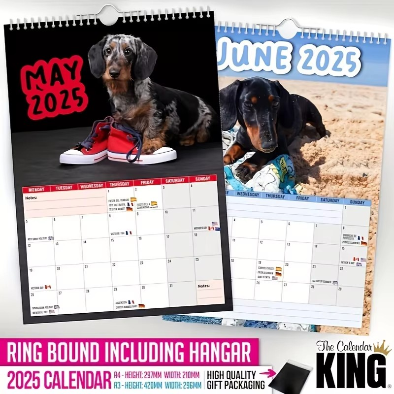 Cheeky Dachshunds 2025 Calendar