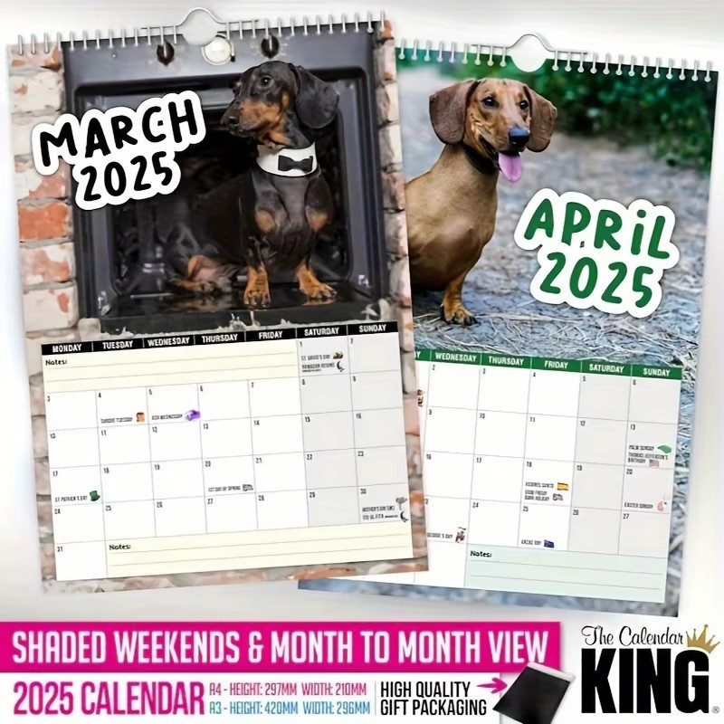 Cheeky Dachshunds 2025 Calendar