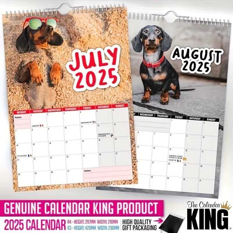 Cheeky Dachshunds 2025 Calendar