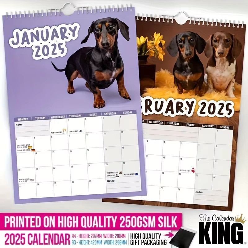 Cheeky Dachshunds 2025 Calendar