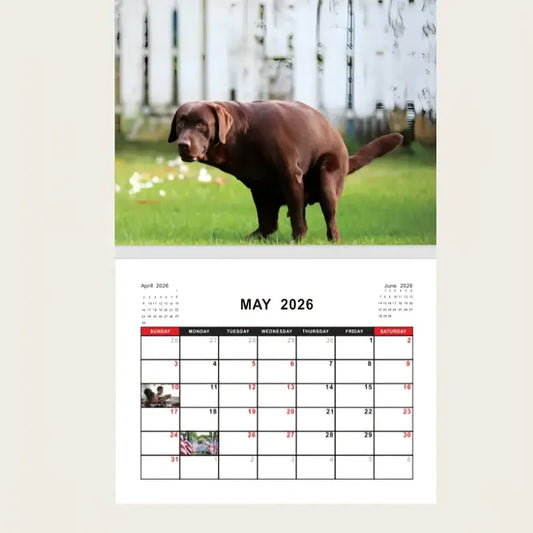 Dogs Pooping In Beautiful Places 2026 Calendar