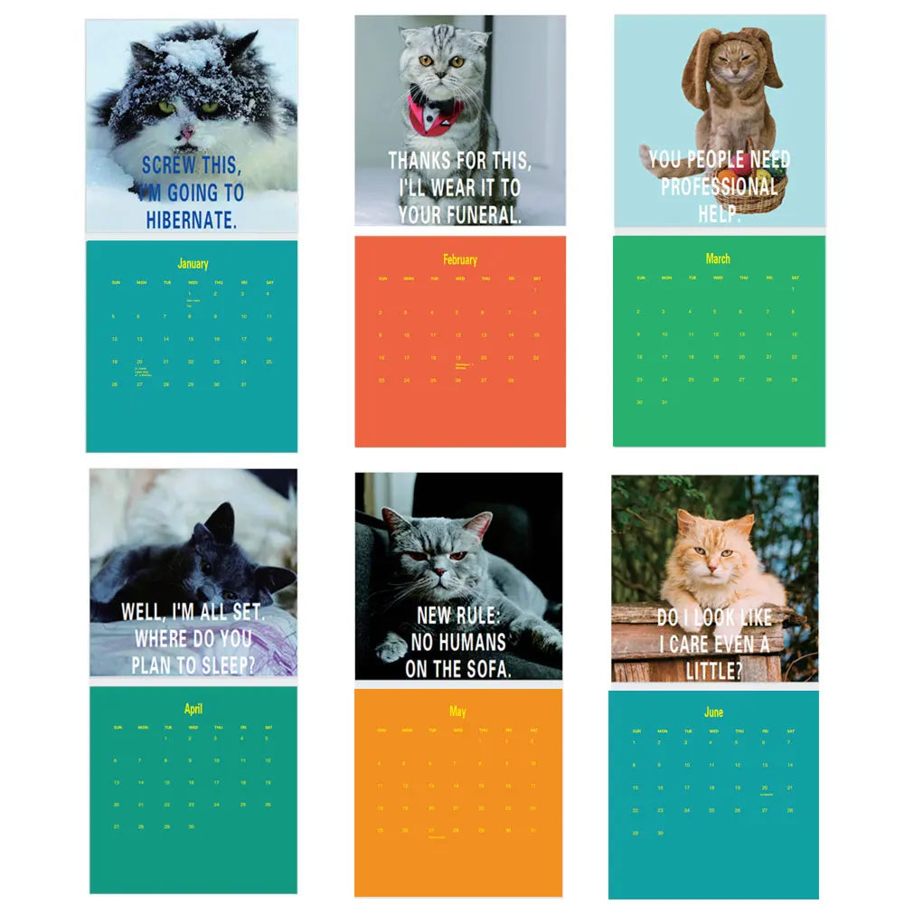 Pissed-Off Cats 2025 Wall Calendar