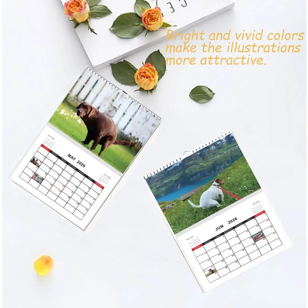 Dogs Pooping In Beautiful Places 2026 Calendar