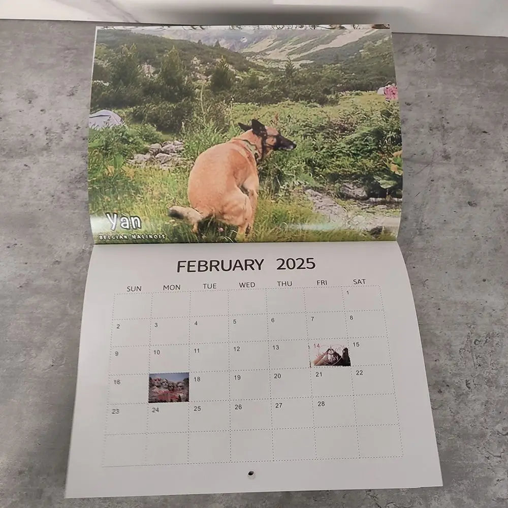 2025 Dogs Pooping in Beautiful Places Wall Calendar