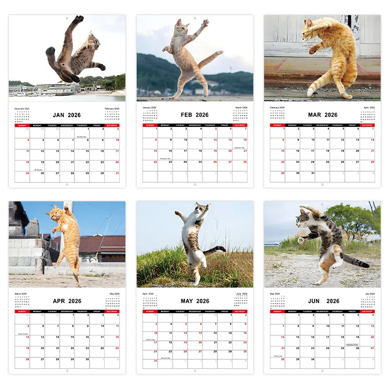 2026 Funny Kung Fu Cat Calendar