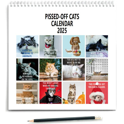 Pissed-Off Cats 2025 Wall Calendar