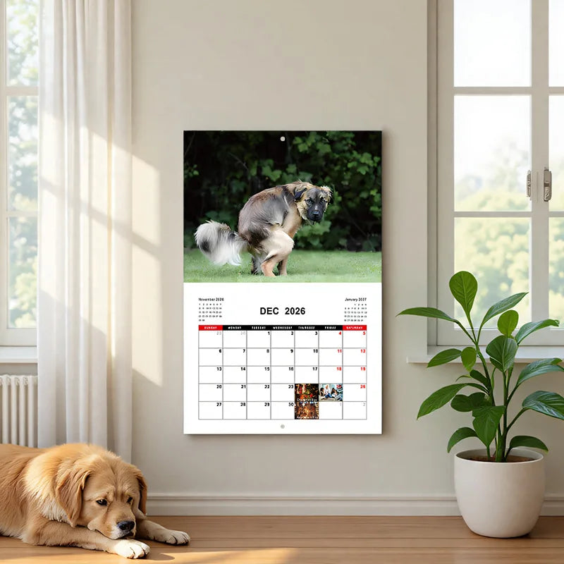 Dogs Pooping In Beautiful Places 2026 Calendar