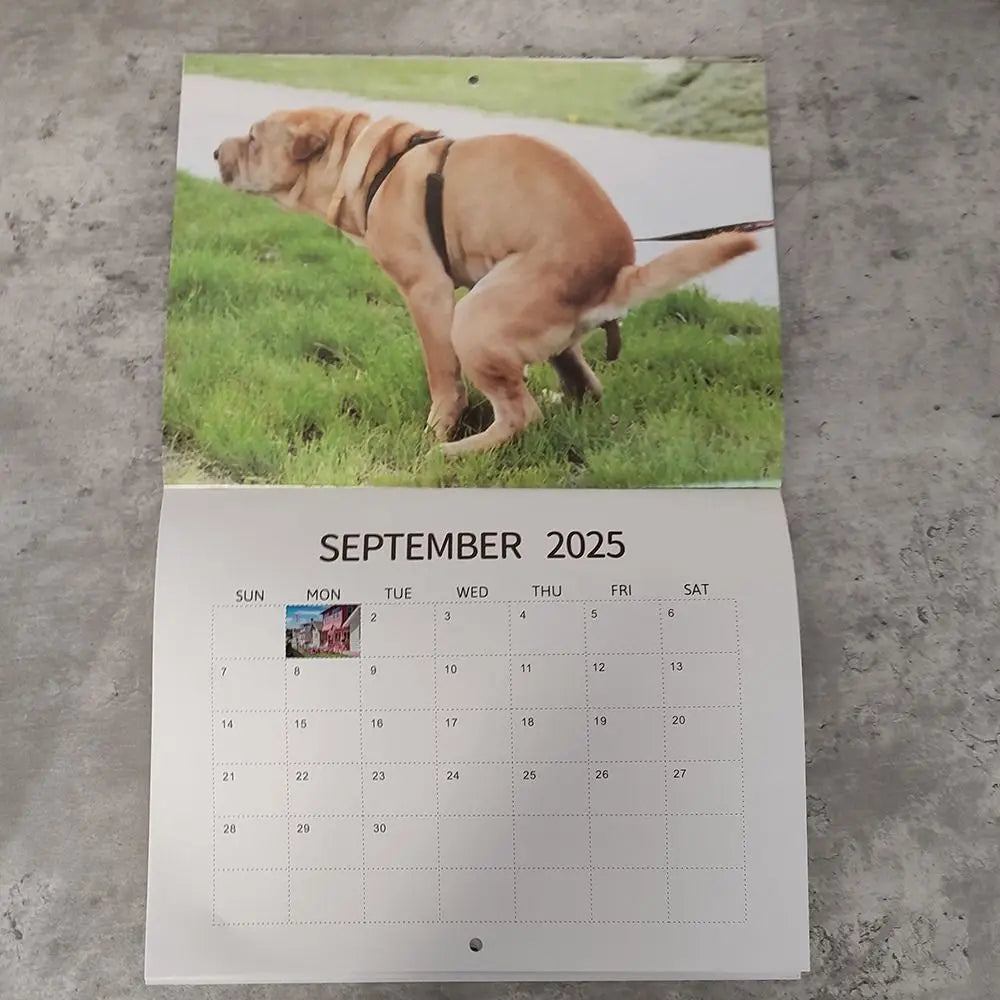 2025 Dogs Pooping in Beautiful Places Wall Calendar